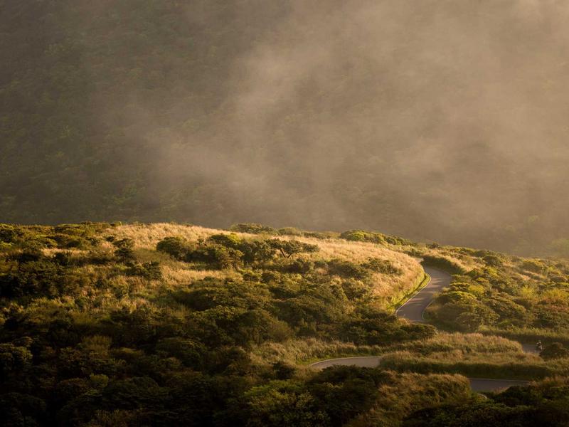 partners screenshot 6