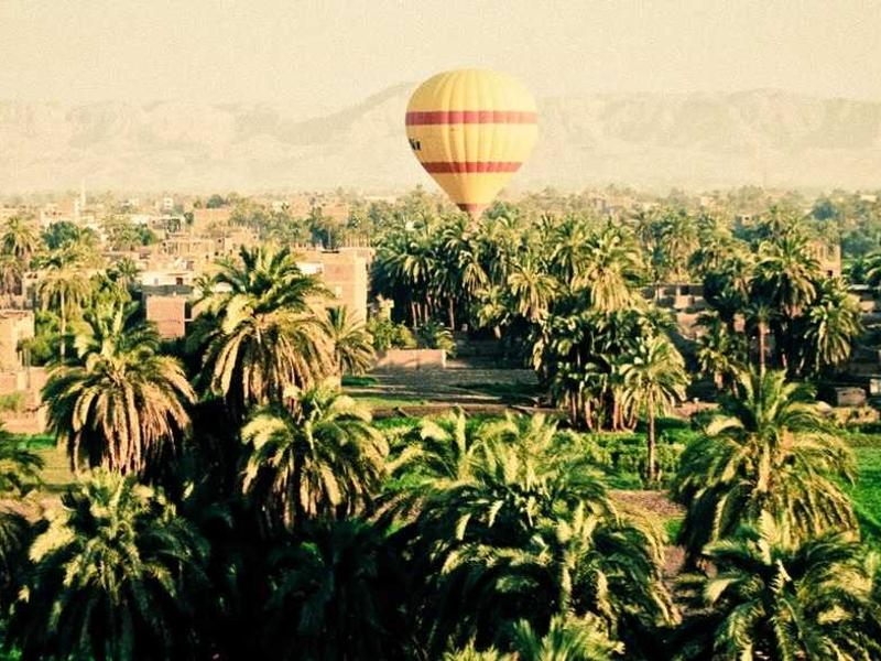 contact screenshot 6