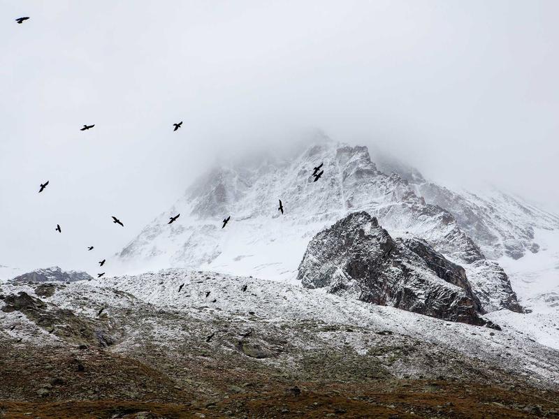 sudoku progress save screenshot 5